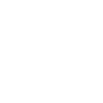 igor logo